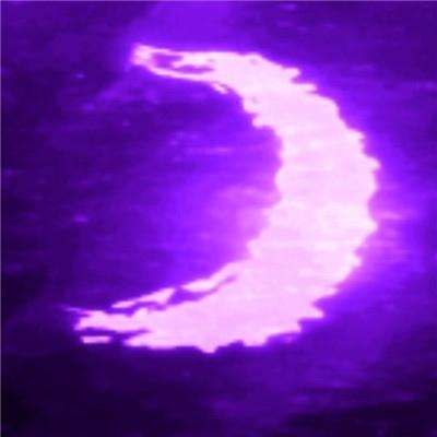 尊龙手机版下载